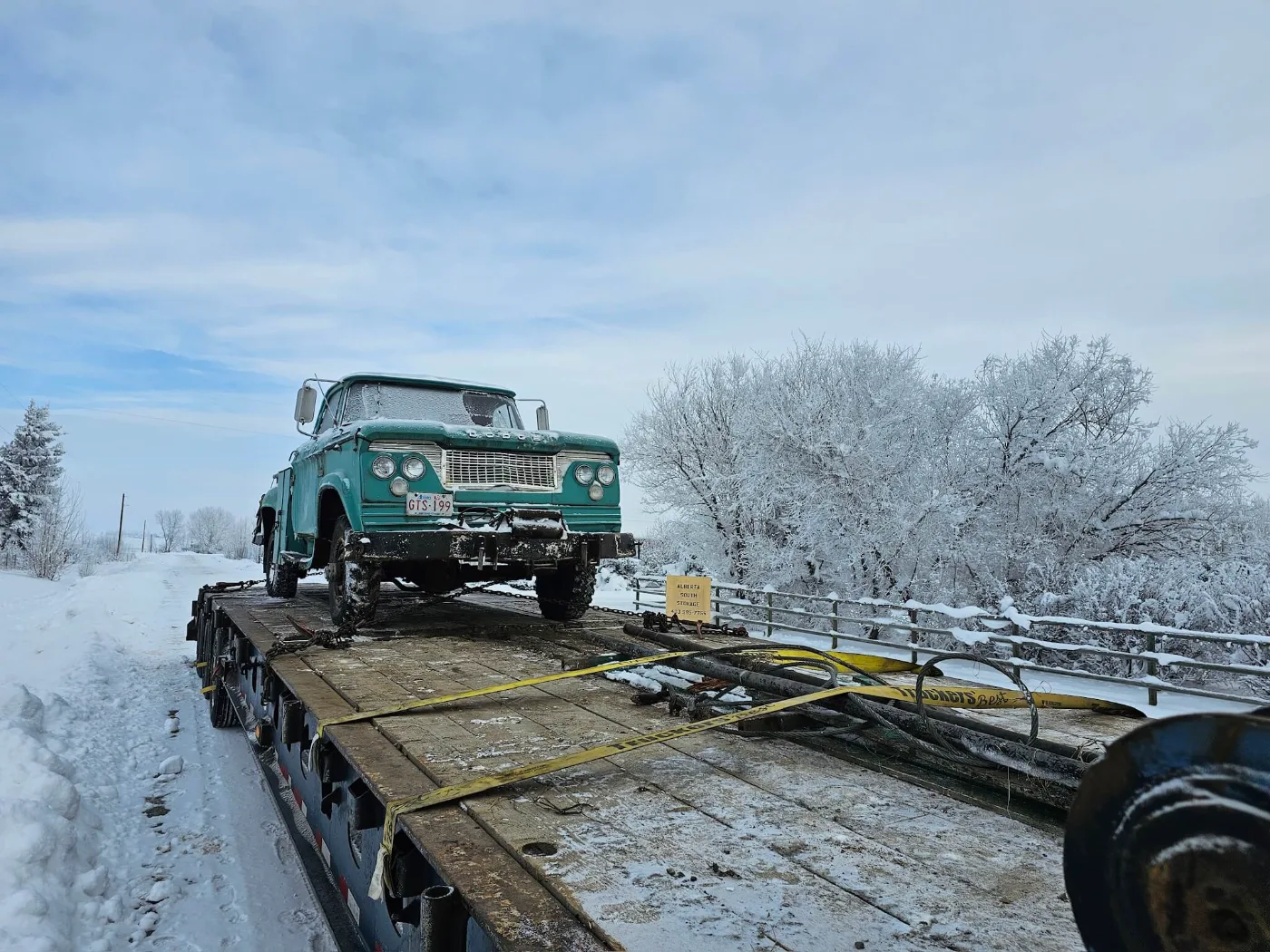 Turquoise vintage Dodge truck chained to a flat deck, hauled home in winter
